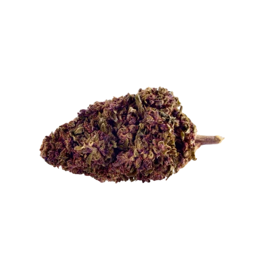 Purple Kinky Kush Supérieure 40%