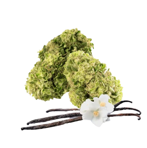 Vanilla Chill Zone 12% CBG