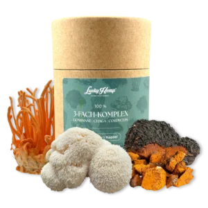 3-Fach-Komplex Vitalpilzextrakt