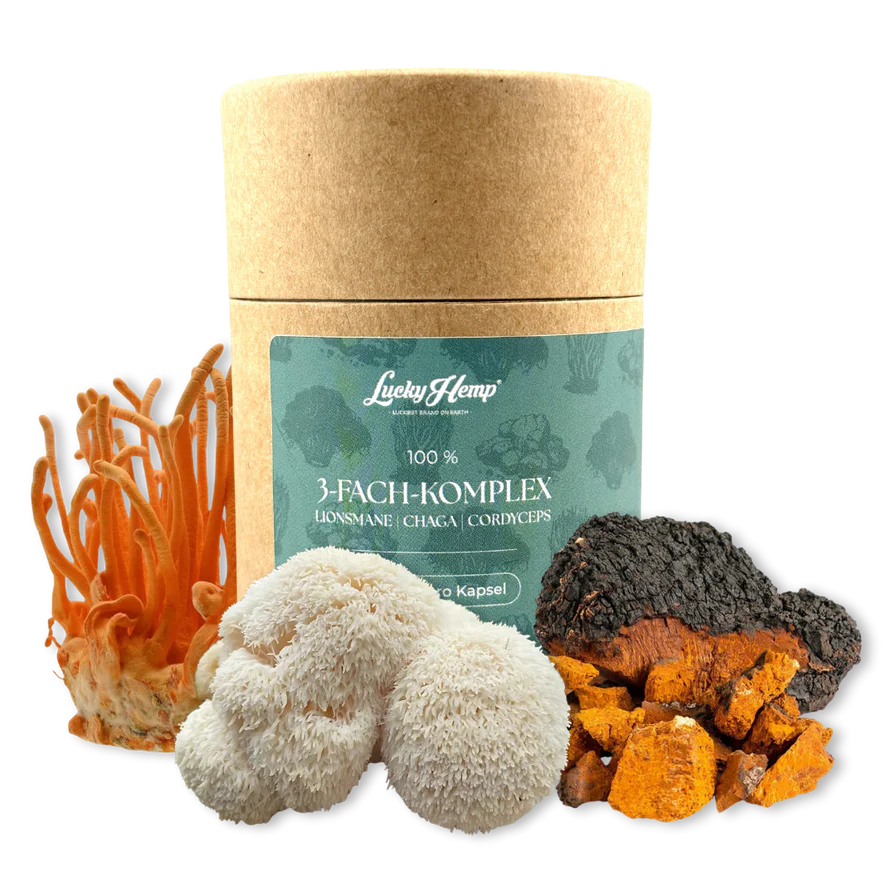 3-Fach-Komplex Vitalpilzextrakt