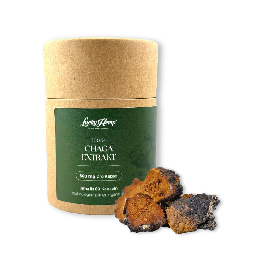 Chaga Vitalpilzextrakt