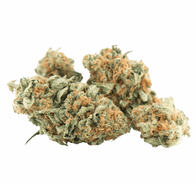 CBD Gelato Indoor — Reseñas