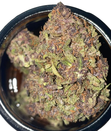 Hanfblüten Tee - Le Champ