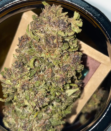 Hanfblüten Tee - Legendary OG