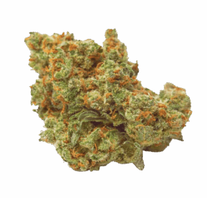 CBD Tropicana Cake – Indoor — Reviews