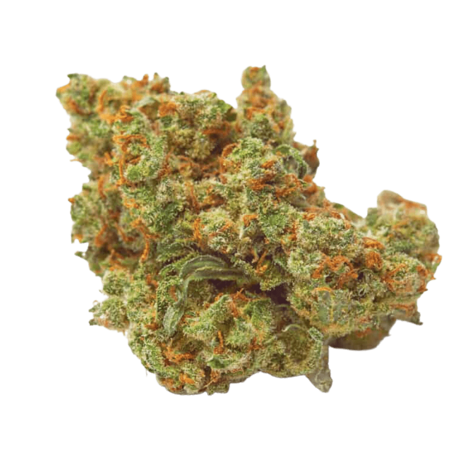 CBD Tropicana Cake – Indoor — Reviews